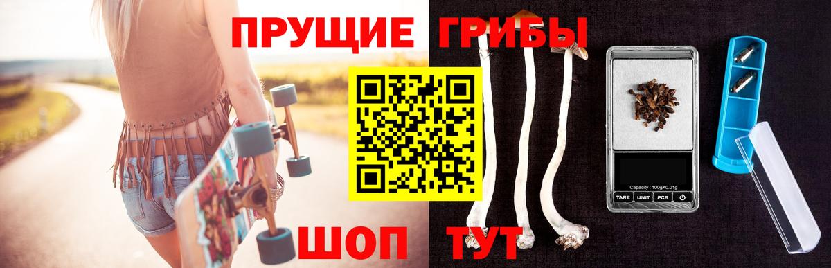 Галлюциногенные грибы Psilocybine cubensis  Вход с VPN  Псилоцибиновые грибы Psilocybine cubensis  Реж 